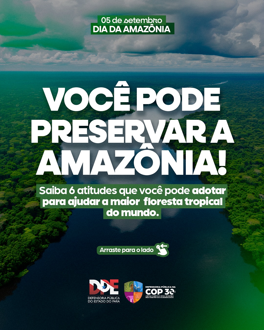 Dia da Amazônia