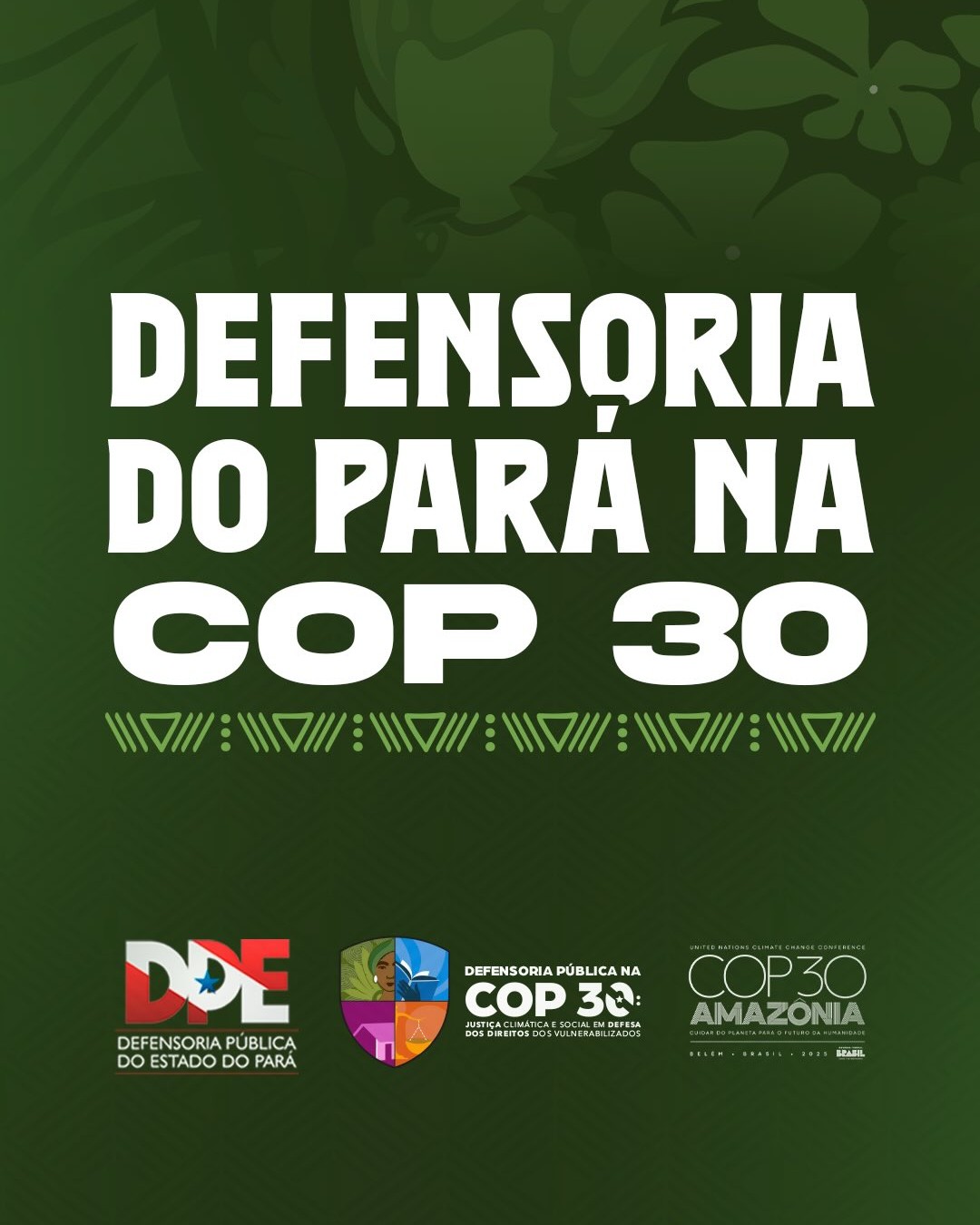 Defensoria Pública do Pará na COP30